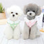 Small Dog Bichon Cute Princess Dress