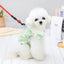 Small Dog Bichon Cute Princess Dress