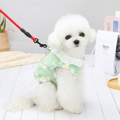 Small Dog Bichon Cute Princess Dress