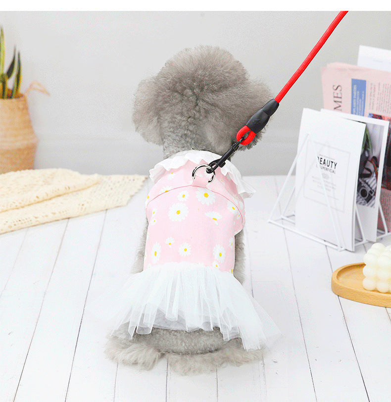 Small Dog Bichon Cute Princess Dress