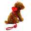 Little Angel Wings Pet Leash