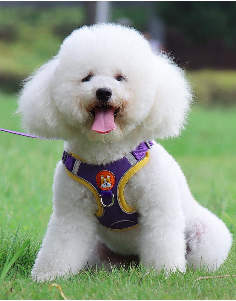 Ultimate Comfort And Safety Pet Harness Set