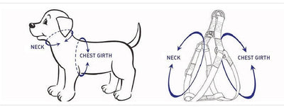 STEP IN BUNDLE - RAINBOW (5 PIECES)