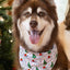 Howliday Cheer Dog Bandana-0