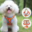 Ultimate Comfort And Safety Pet Harness Set