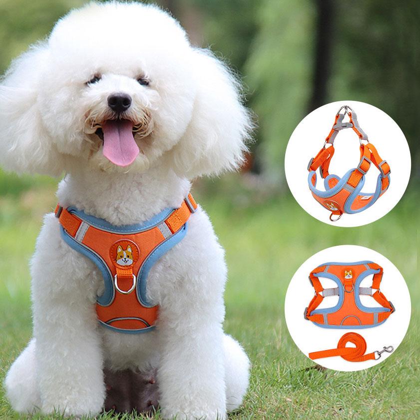 Ultimate Comfort And Safety Pet Harness Set