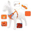 Ultimate Comfort And Safety Pet Harness Set