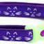 Glowing Cat Faces Breakaway Cat Collar