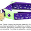 Glowing Cat Faces Breakaway Cat Collar