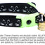 Glowing Cat Faces Breakaway Cat Collar