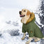 Cozy Canine Cotton Jacket: Stylish And Warm Winter Wear For Large Dogs