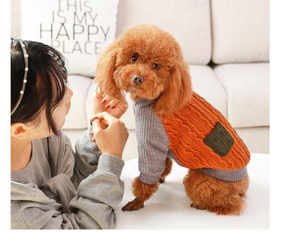 Cozy Cotton Dog Sweater