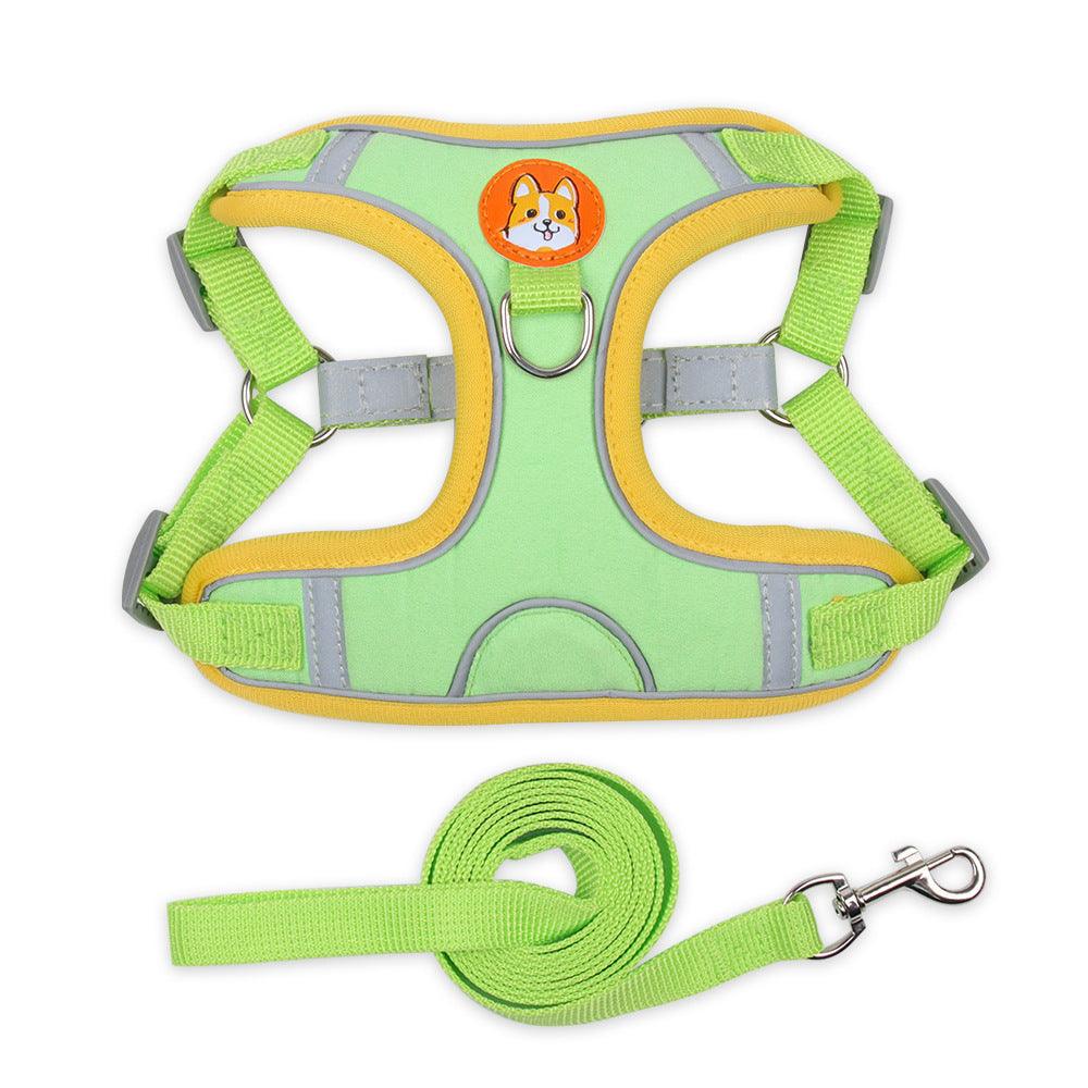 Ultimate Comfort And Safety Pet Harness Set