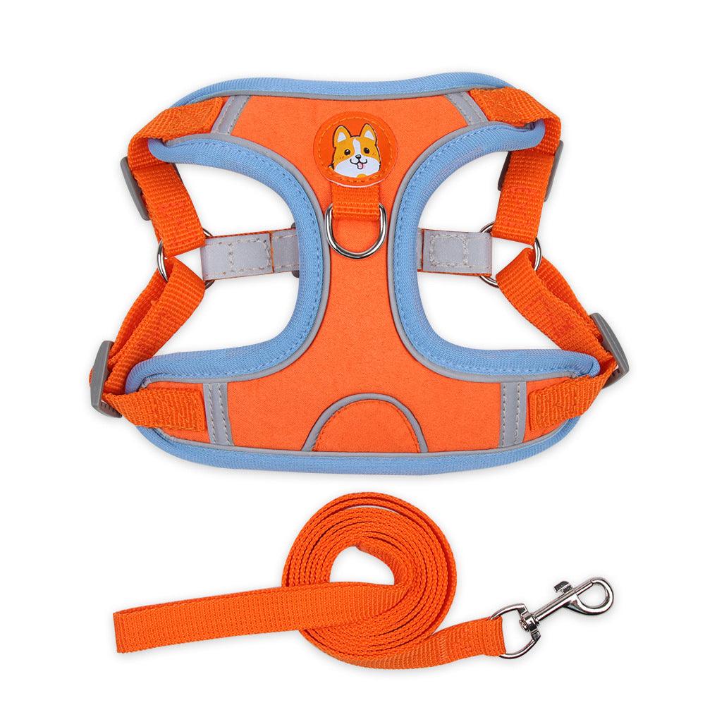 Ultimate Comfort And Safety Pet Harness Set